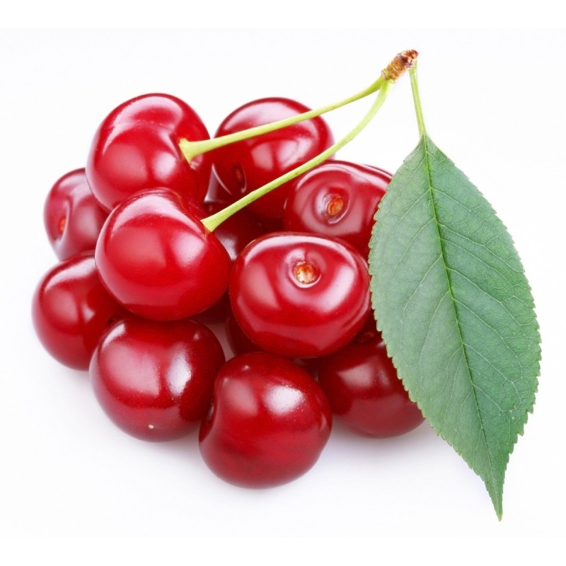 fruit seeds pictures