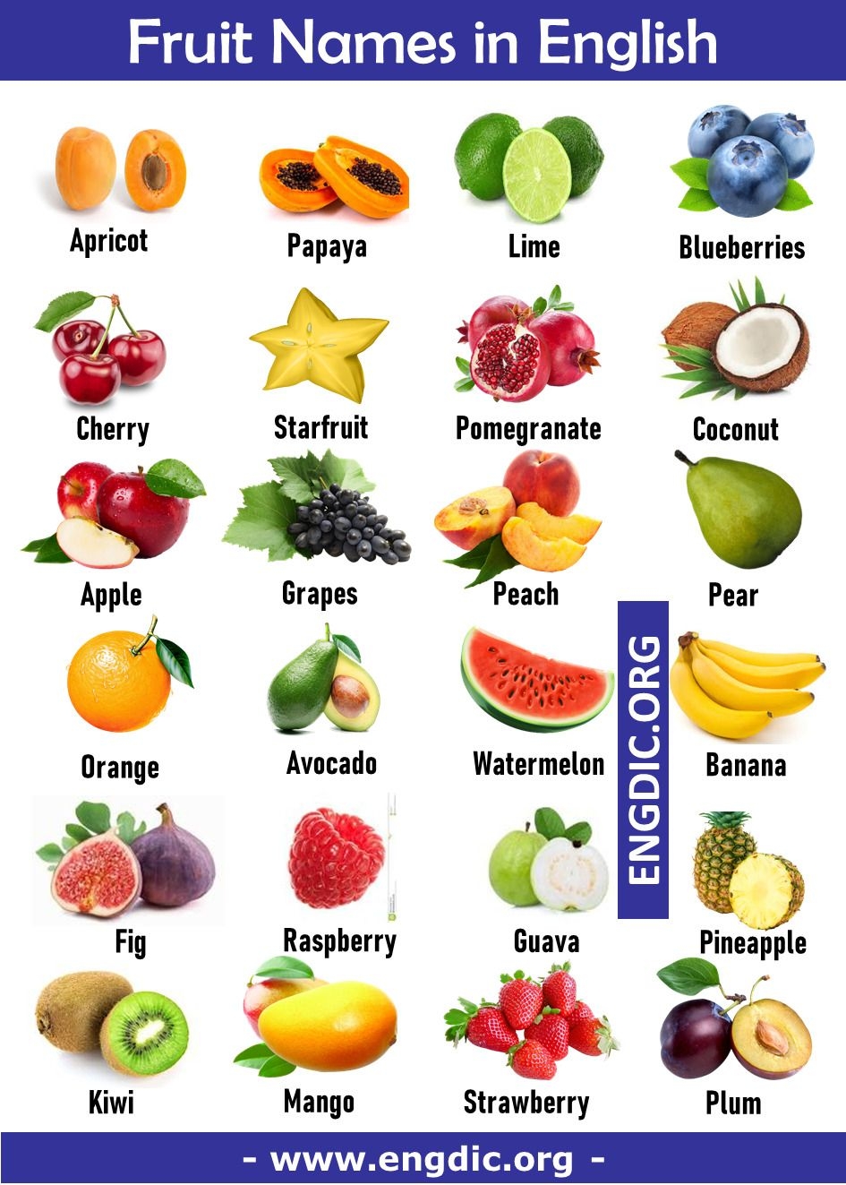100 fruits name a to z with pictures