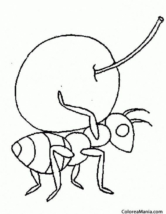 Top 25 Free Printable Ants Coloring Pages Online Artofit