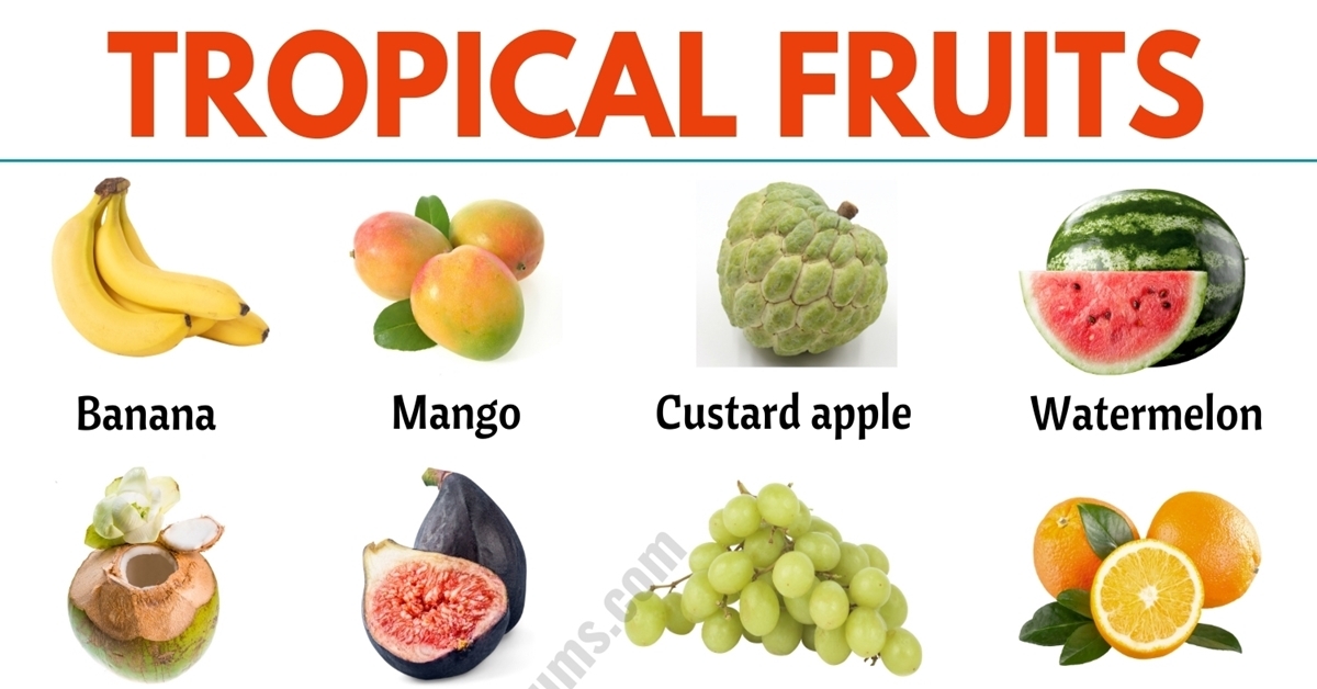 Tropical Fruits List Of 90 Popular Tropical Fruits In English ESL 