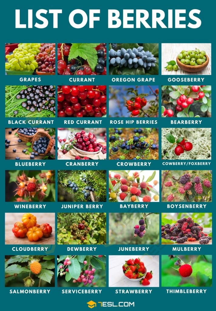 fruit berries pictures