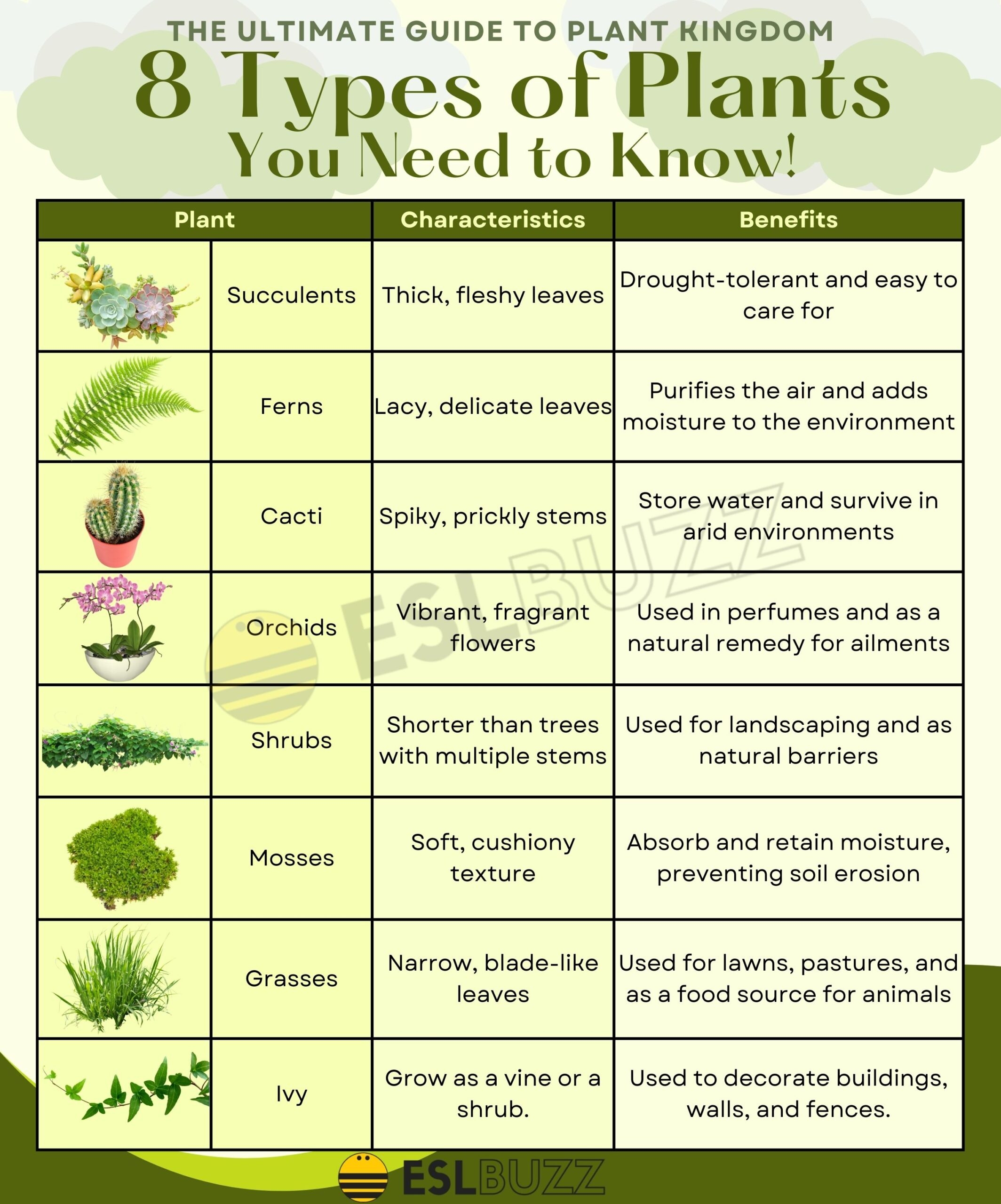 fruit plants names and pictures