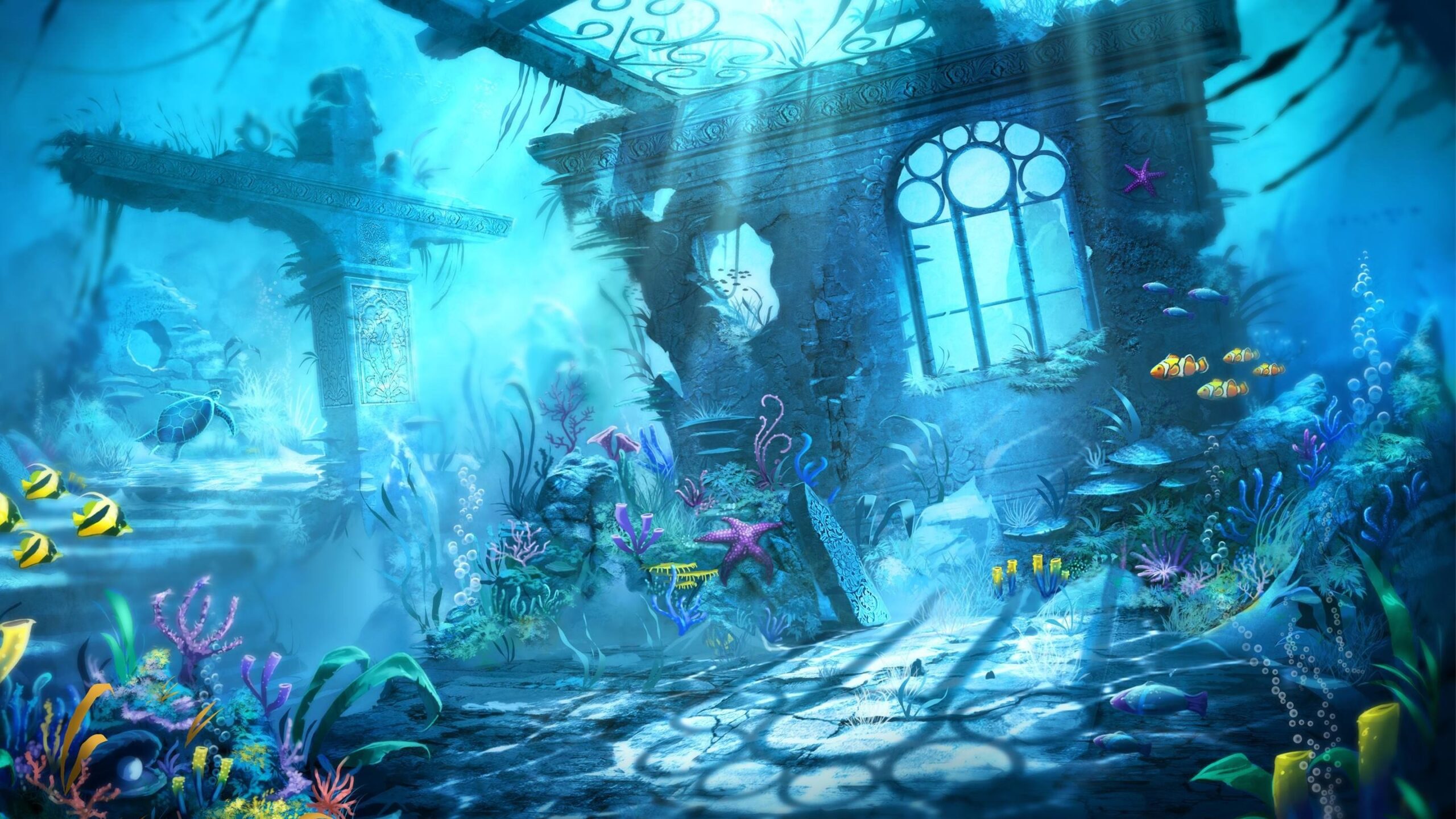 Unique Aquarium Background Themes Setup Methods Ideas