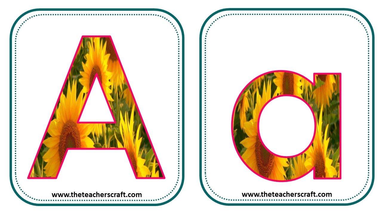 Upper Lower Case Alphabet Letters