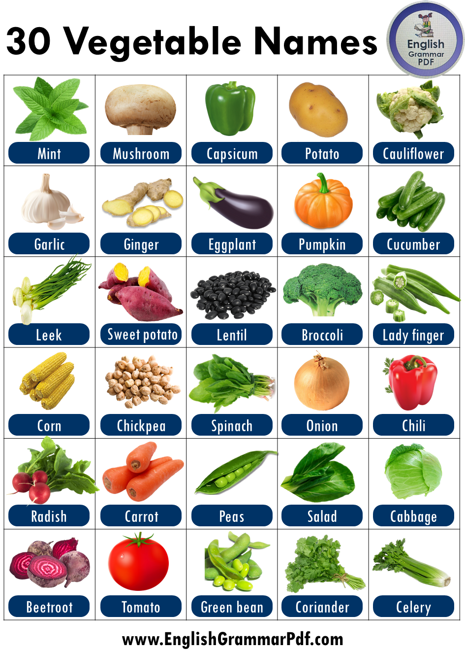 Vegetables Names With Pictures Fruits And Vegetables Names List Of 