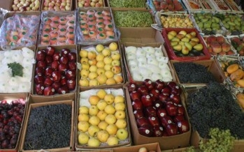 Wadsam Afghanistan Fruits Archives Wadsam