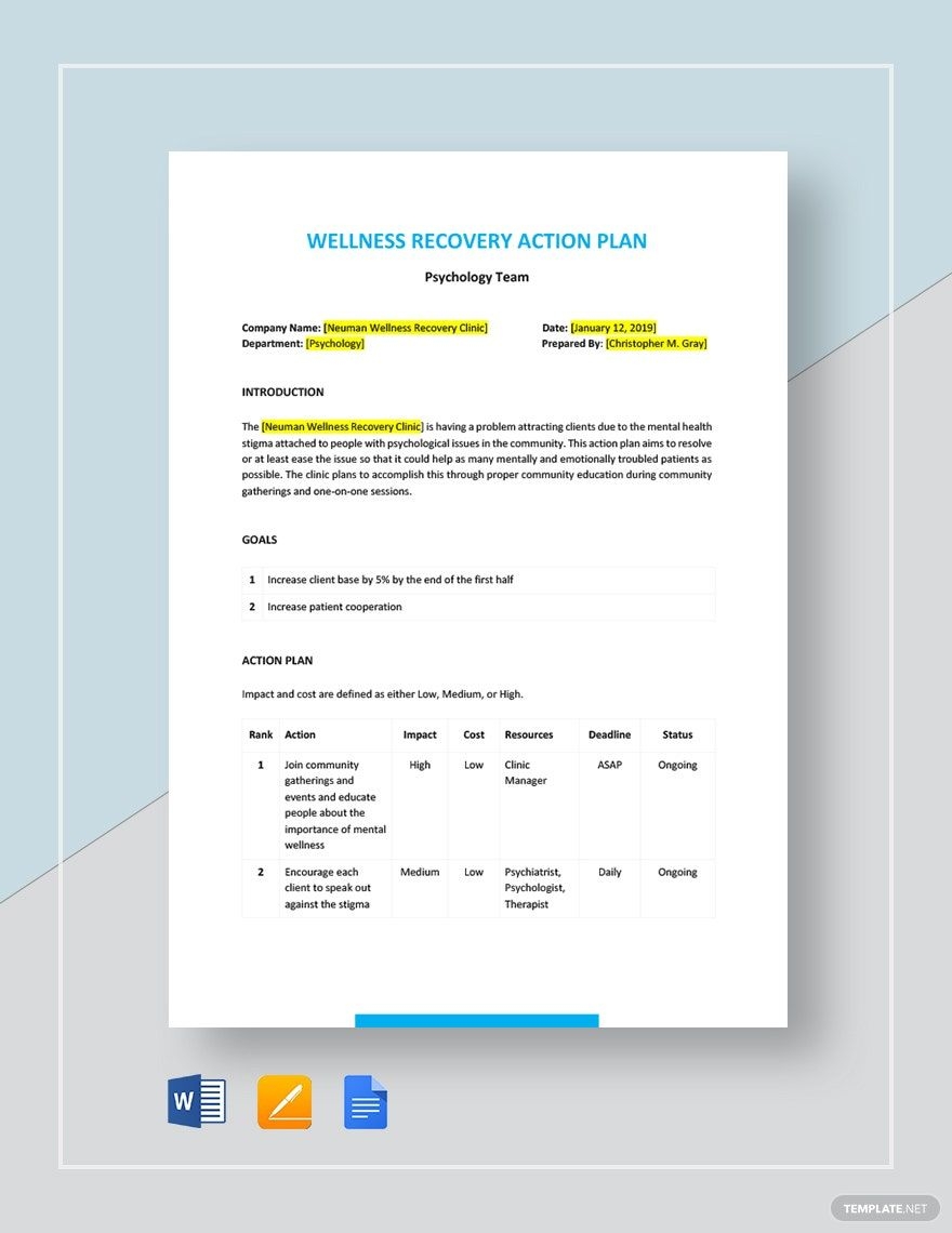 Wellness Recovery Action Plan Template In Google Docs Word Pages
