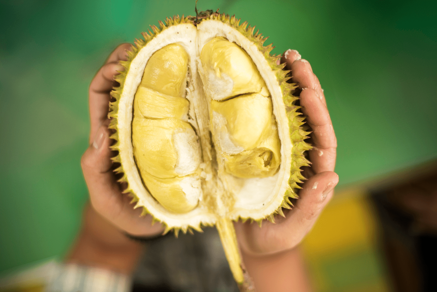What Is Durian Fruit 