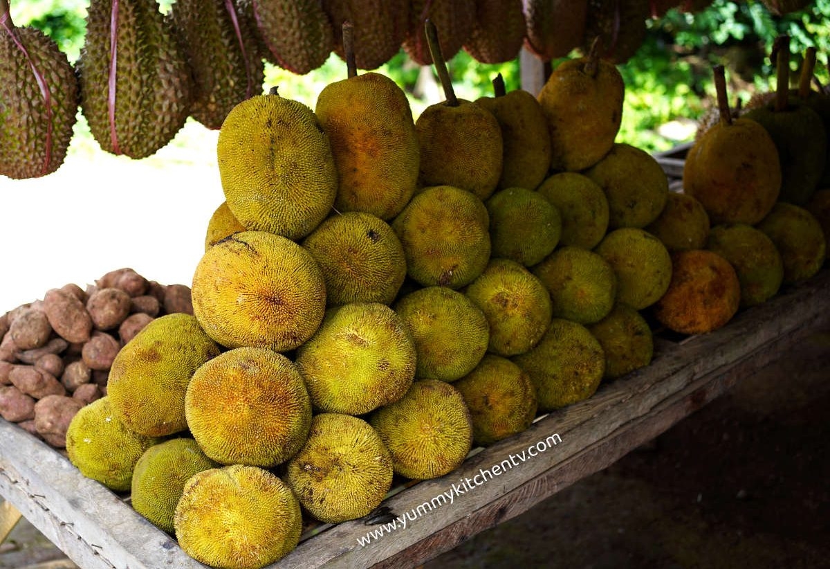 What Is Marang Fruit An Interesting Tropical Fruit Yummy Kitchen