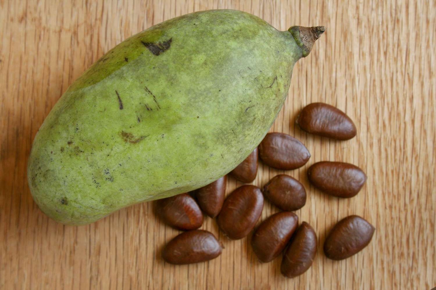 What Is Pawpaw Fruit And Where Is It Grown