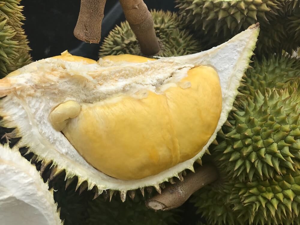 fruit durian pictures