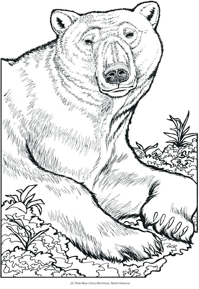 coloring pictures of animals printable