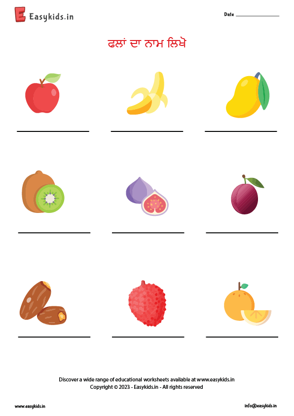 fruits name in punjabi with picture