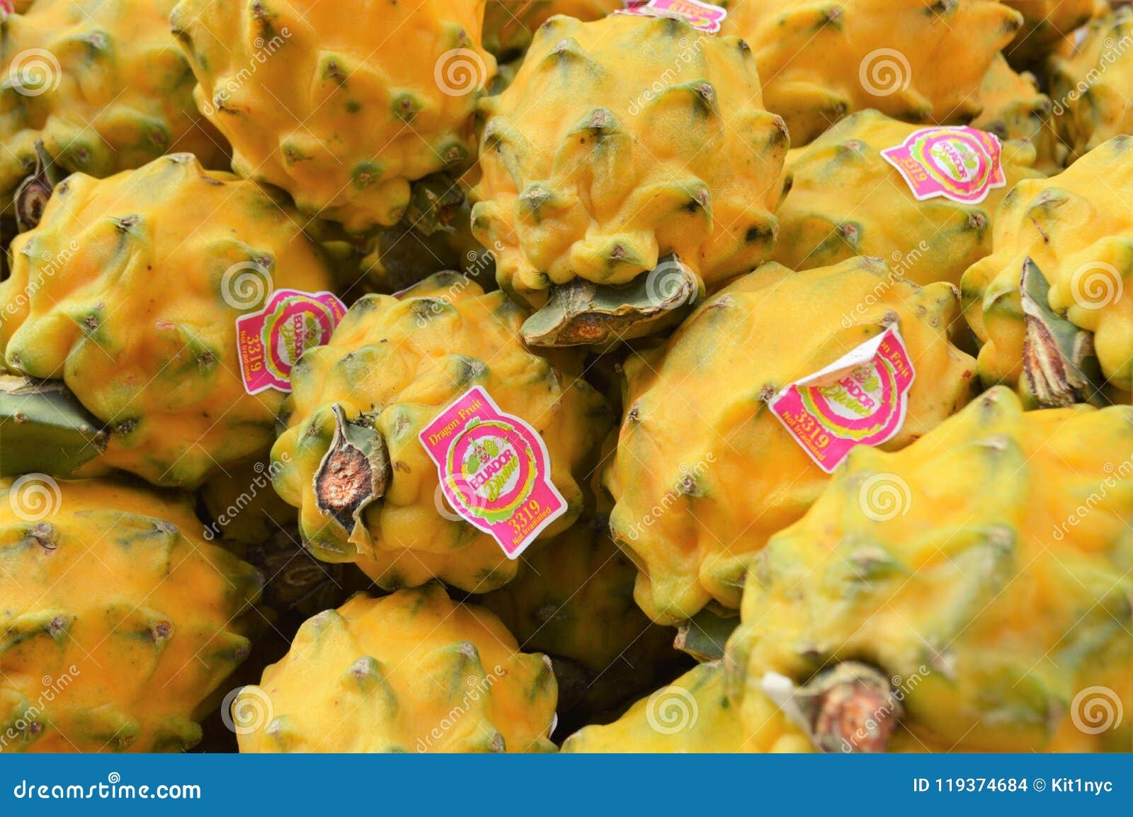 Yellow Dragon Fruit Exotic Editorial Stock Image Image Of Pitaya 