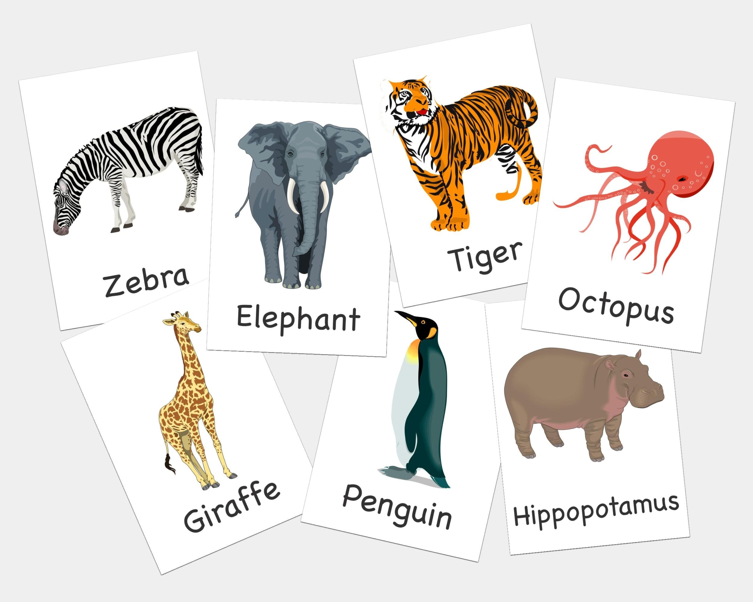 animal picture cards printable