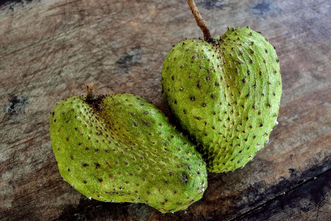10 Free Soursop U0026 Fruit Images Pixabay