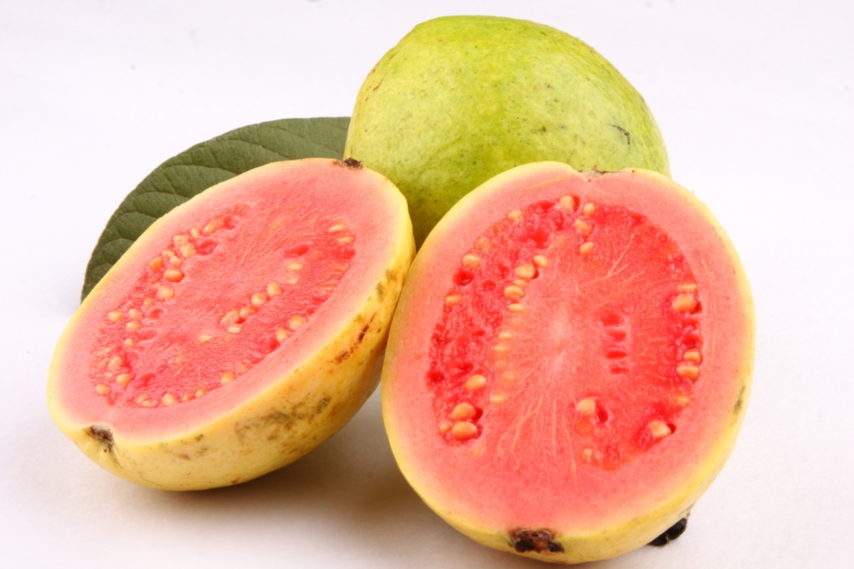 10 Fruits Unique To Brazil HubPages