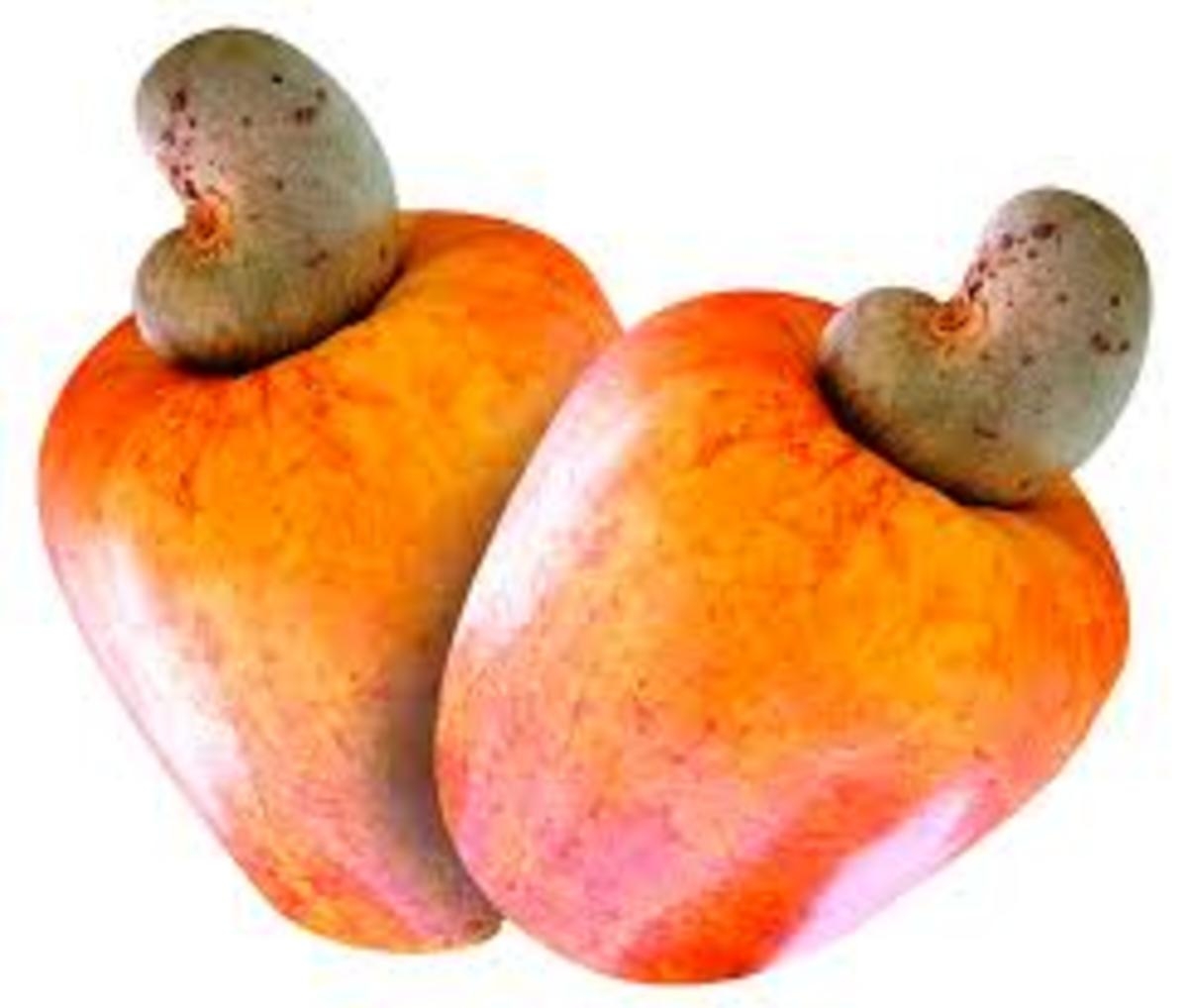 brazilian fruits pictures and names