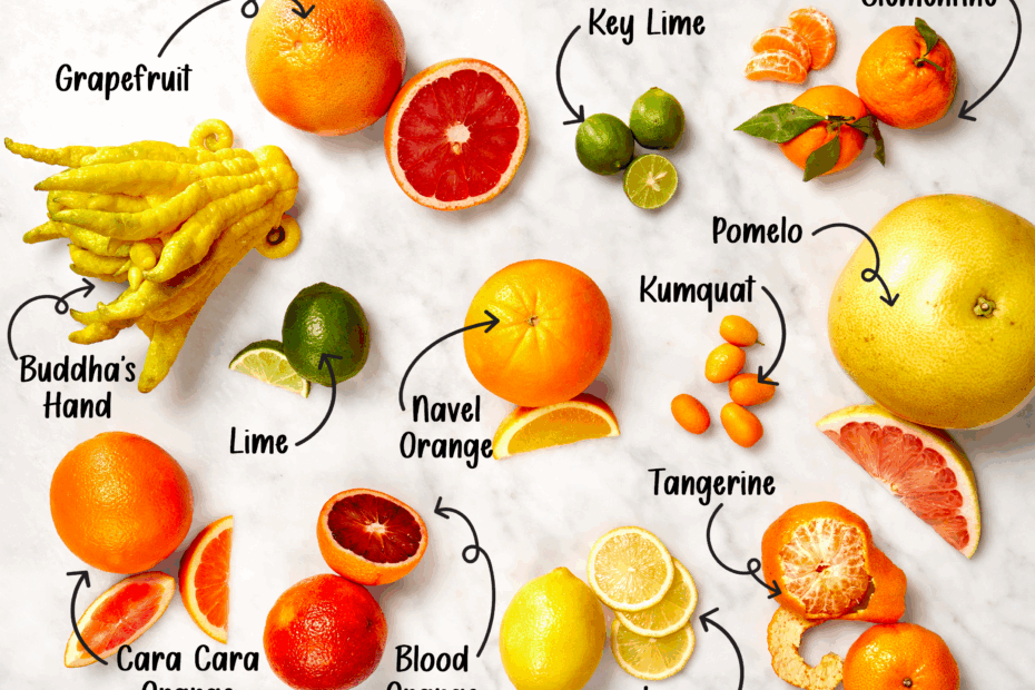 12 Types Of Citrus Fruits Way Beyond Lemons And Limes The Kitchn