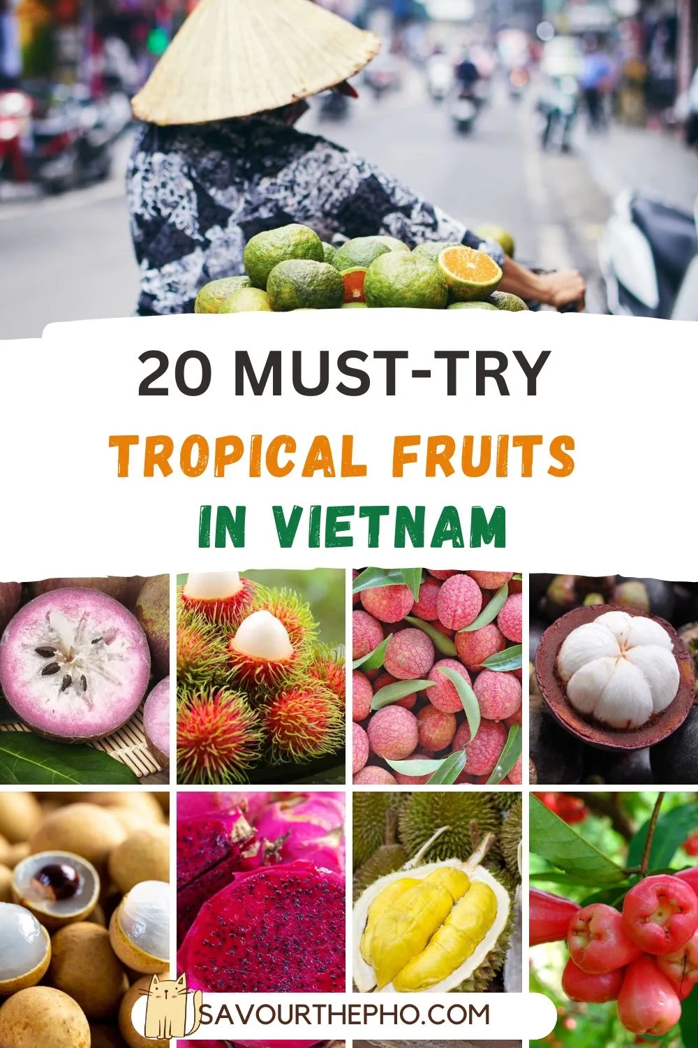 vietnamese fruits list with pictures