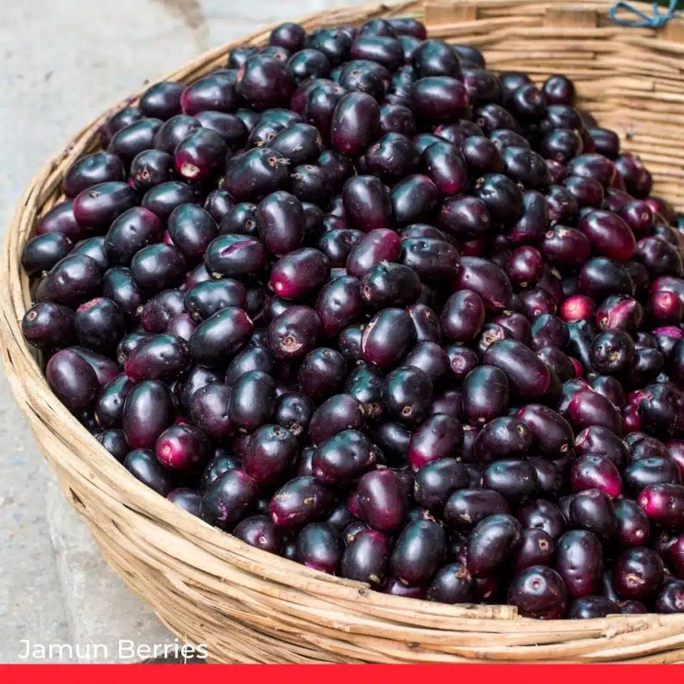 20 Purple Fruits To Add To Your Diet Chef s Pencil