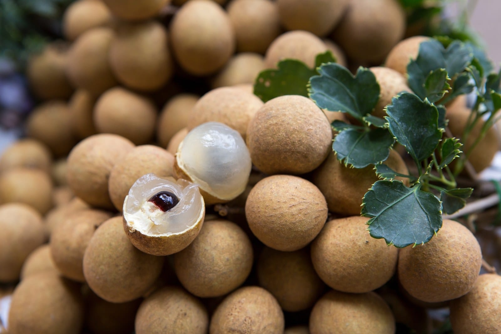 asian tropical fruits pictures