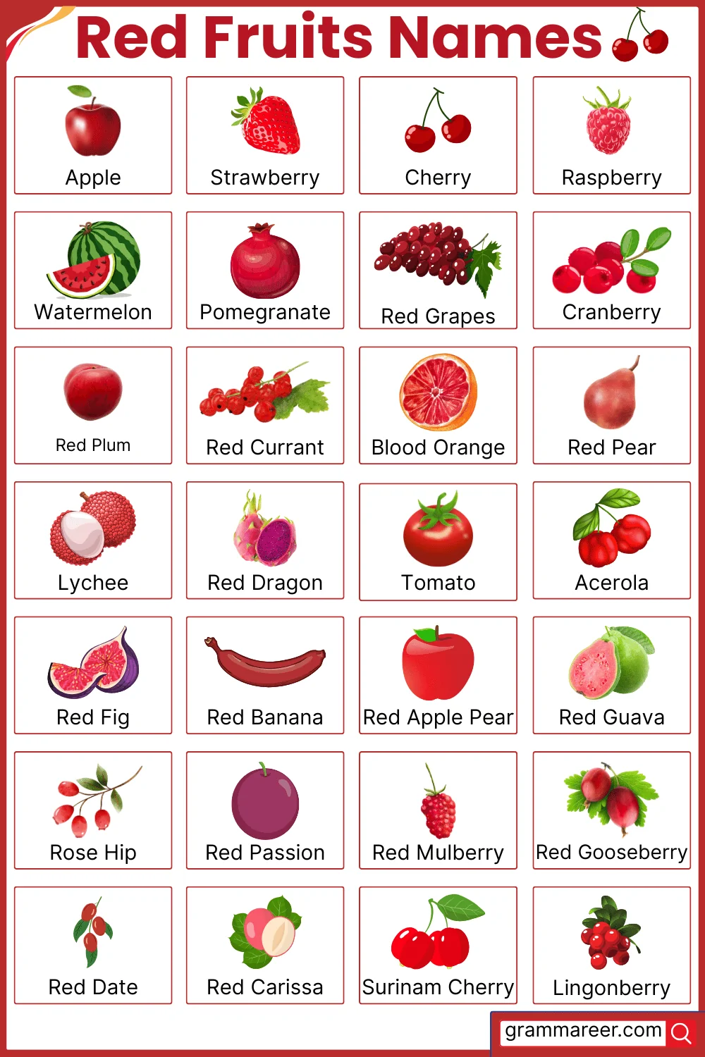 different types of fruits with names and pictures