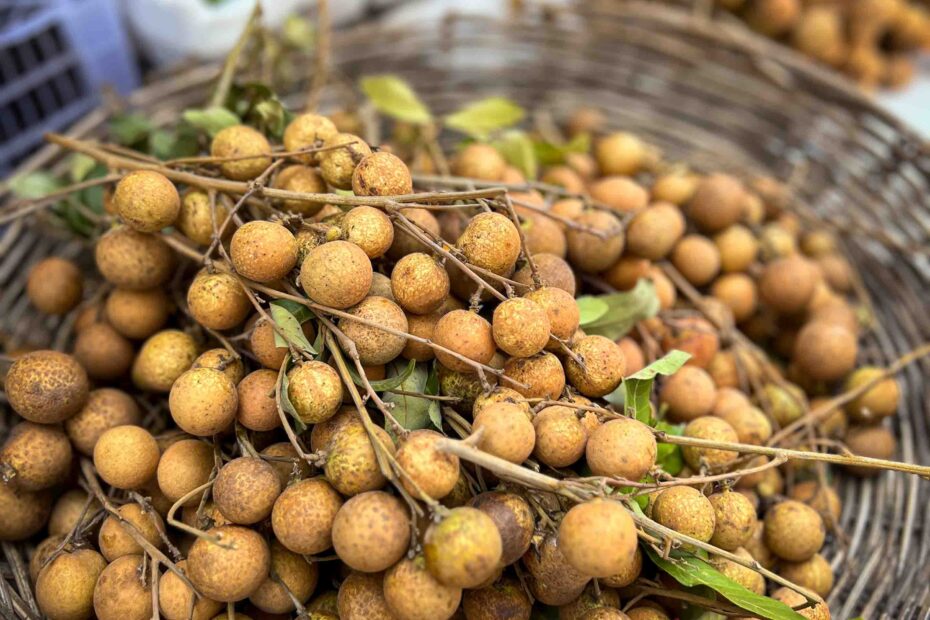 31 Exotic Fruits In Cambodia You ve Never Seen Before Bacon Is Magic