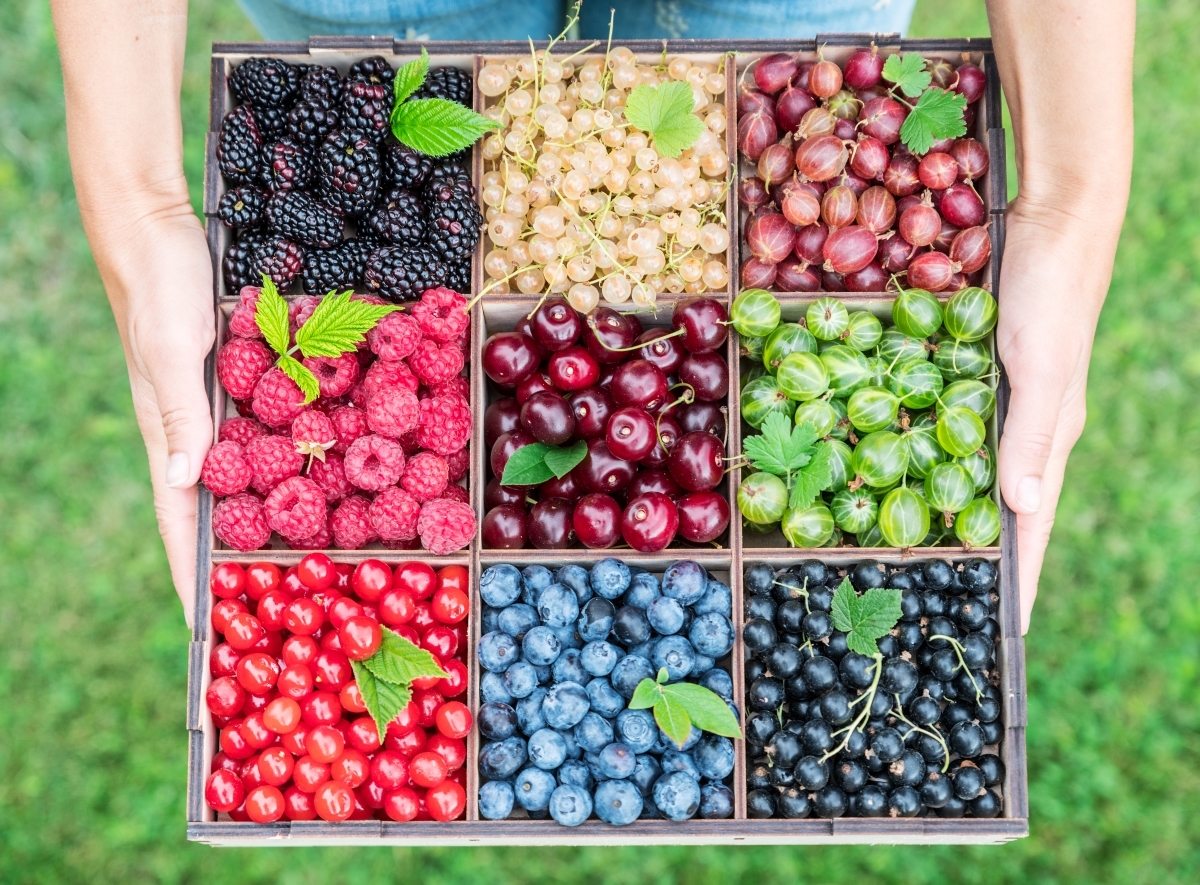 32 Unique Fruits Anyone Can Grow In Their Backyard