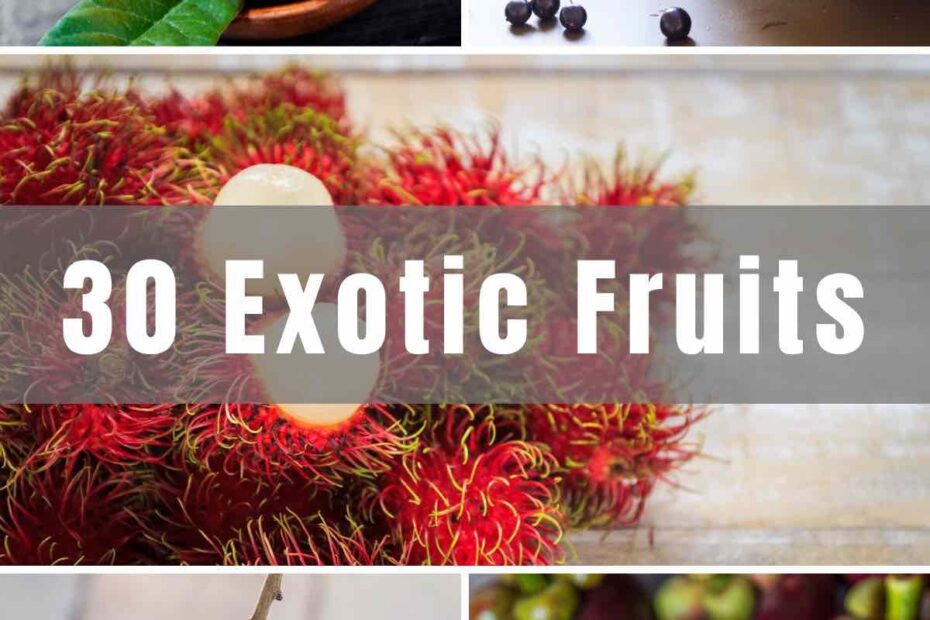 34 Exotic Fruits Names And Pictures TipBuzz