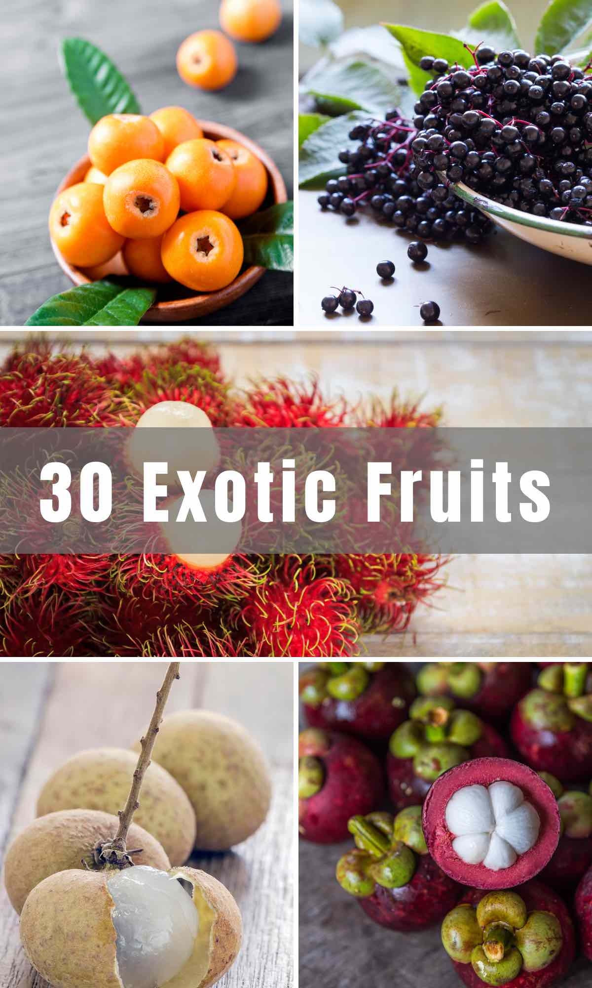 34 Exotic Fruits Names And Pictures TipBuzz