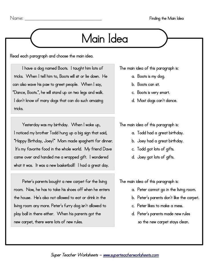 3rd Grade Main Idea And Key Detail Practice