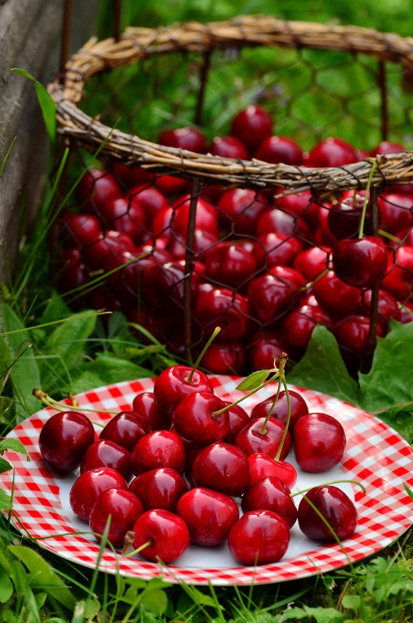 cherry pictures fruit