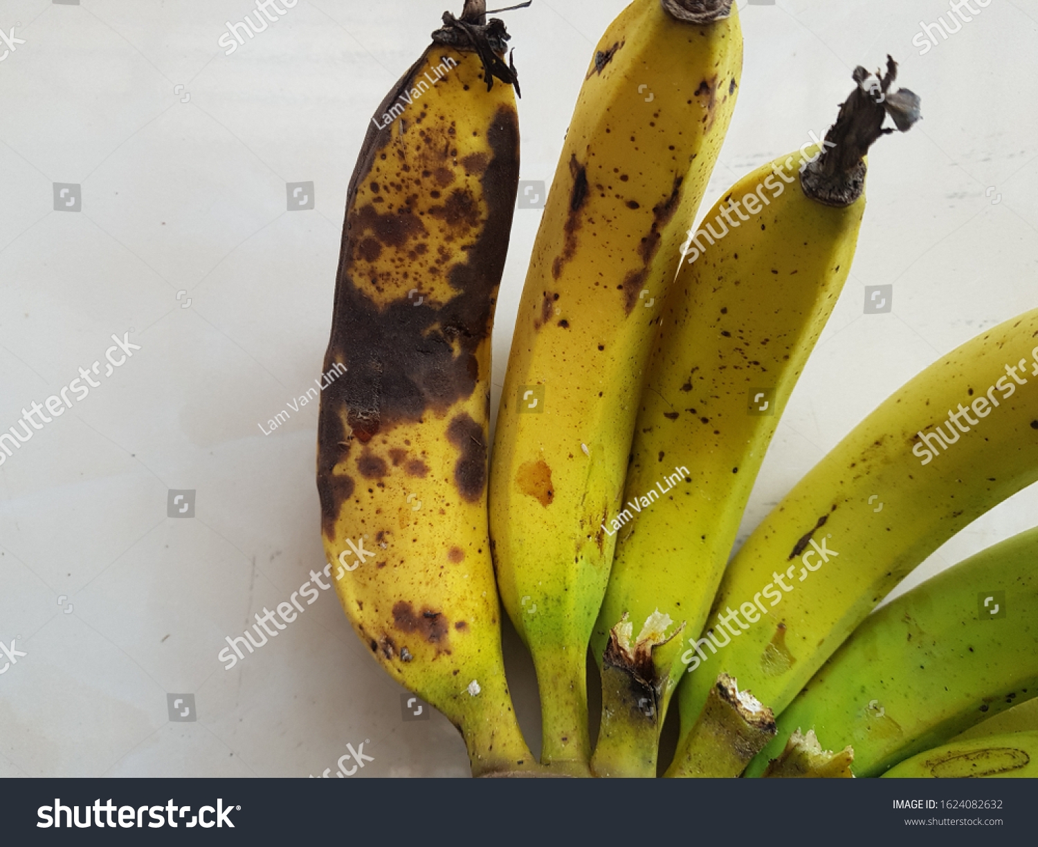 44 Anthracnose Banana Royalty Free Images Stock Photos U0026 Pictures Shutterstock