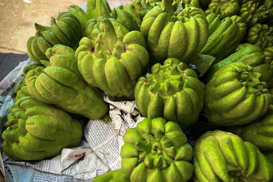 45 Unusual Vietnam Fruits You ll Love PHOTOS