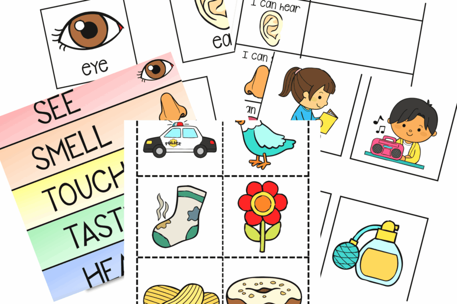 5 Senses Free Printables Free Printable