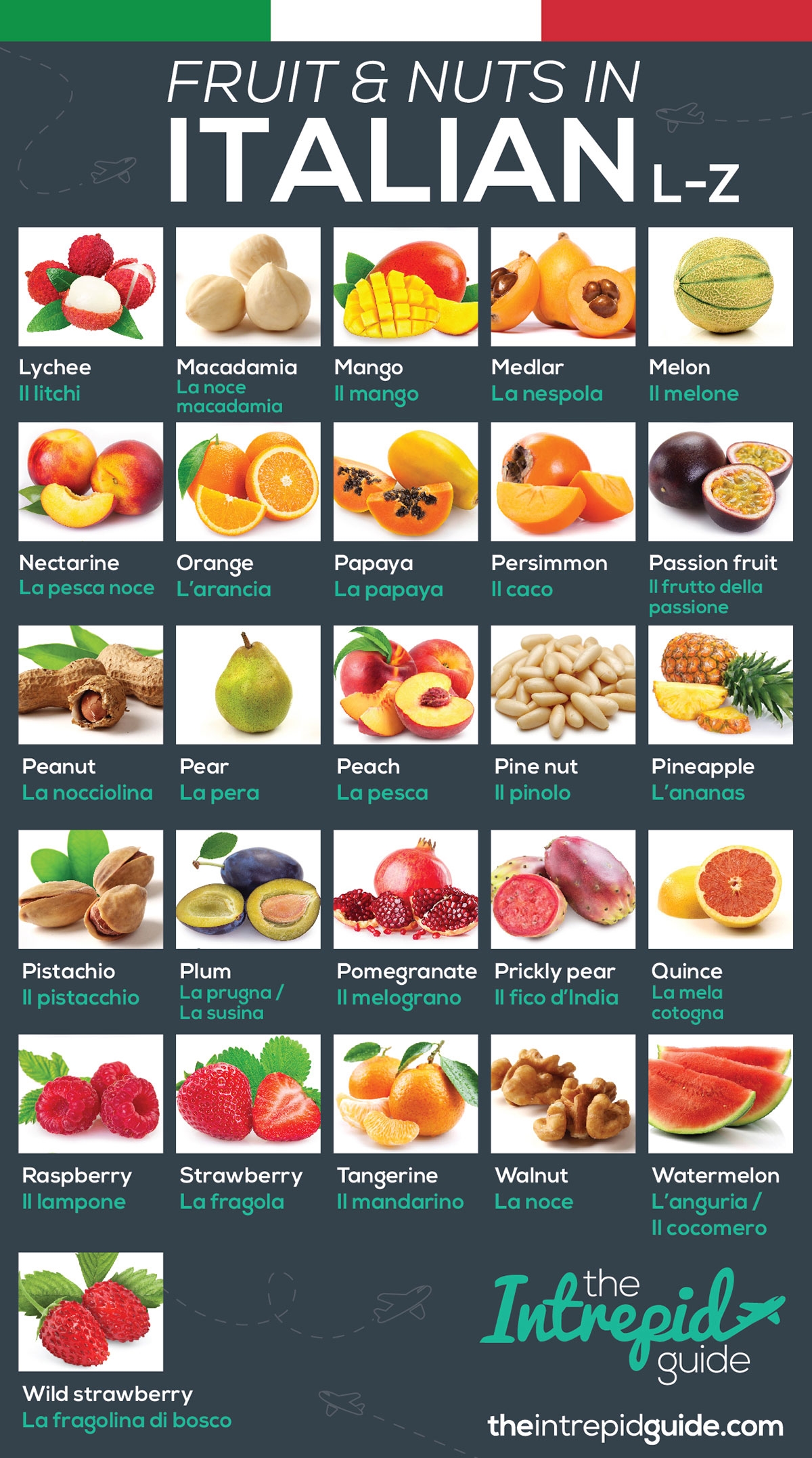 100 fruits name a to z with pictures