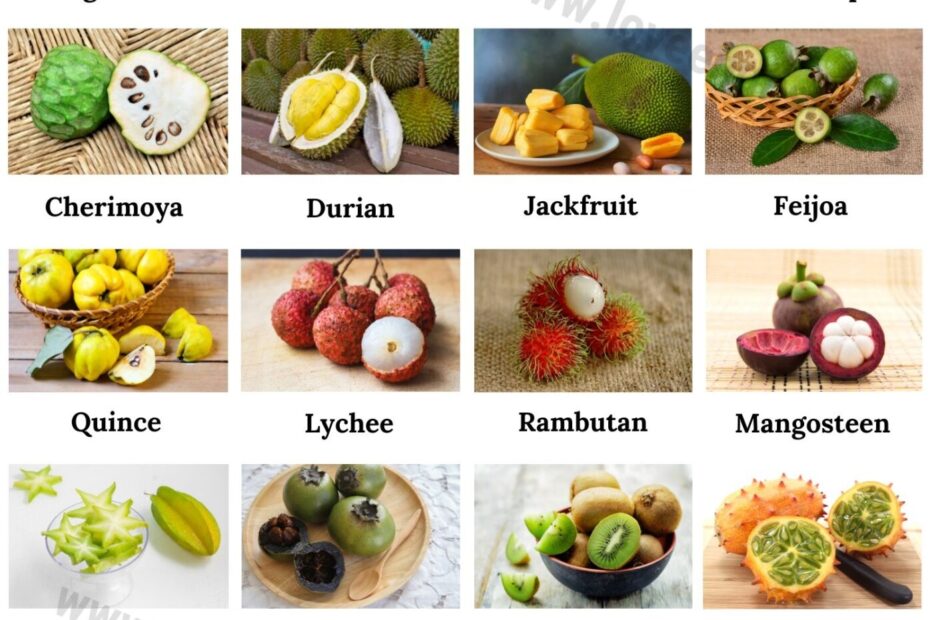 65 Most Exotic Fruits In The World Love English