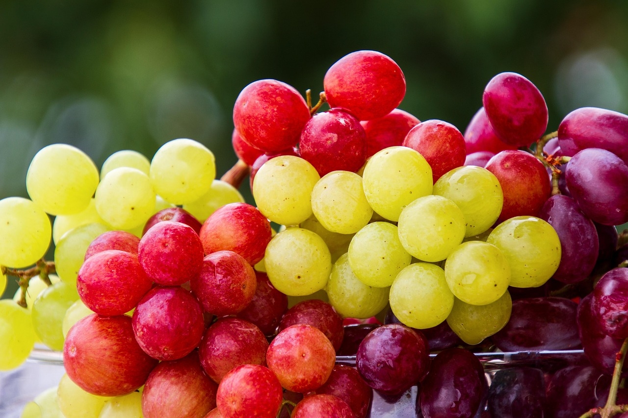 fruit grapes picture