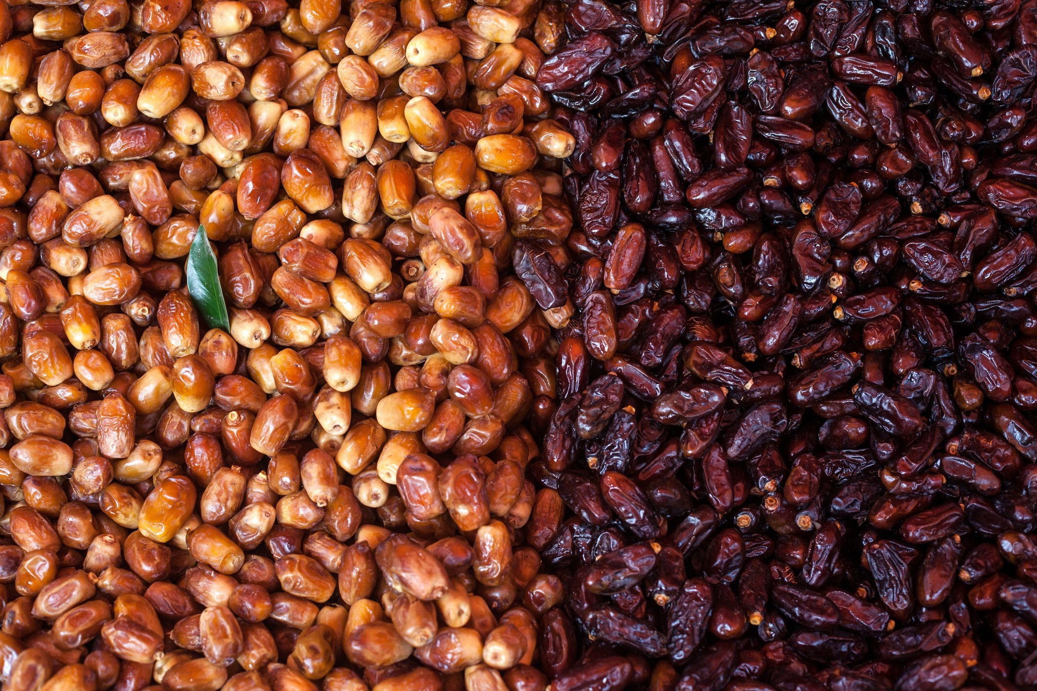 pictures of dates fruit