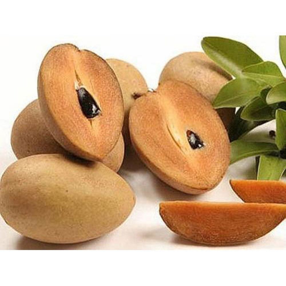 A Grade Fresh Chiku Fruit Packaging Size 1 Kg At 90 kg In Palitana ID 25865492148
