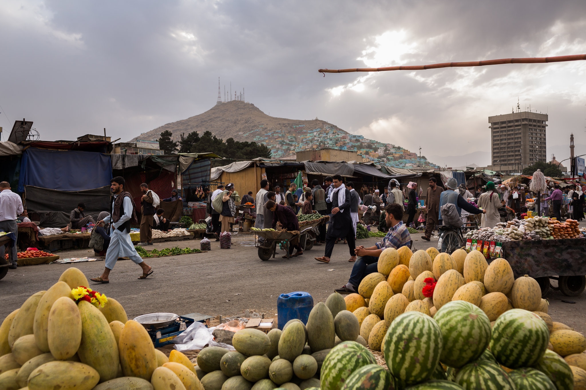 Abundant Afghan Harvest Wilts Amid Violence And Extortion The New York Times