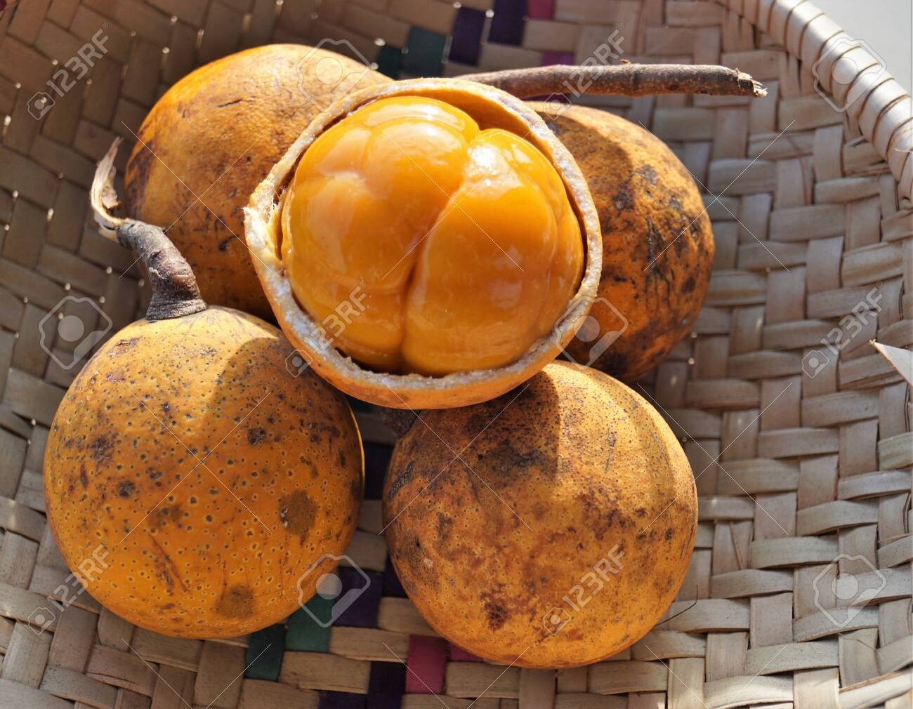 African Exotic Fruit Maboque Stock Photo Picture And Royalty Free Image Image 122202746 
