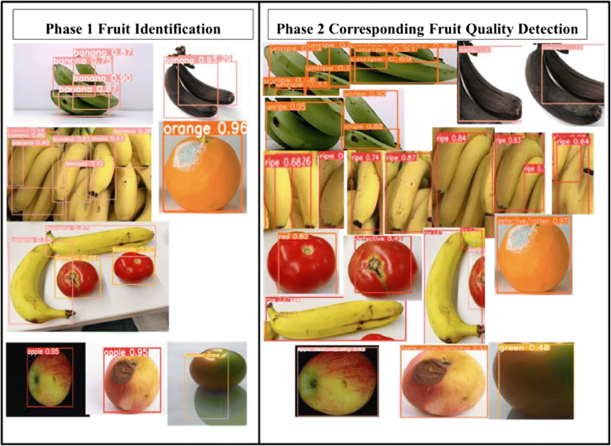 fruit identification pictures