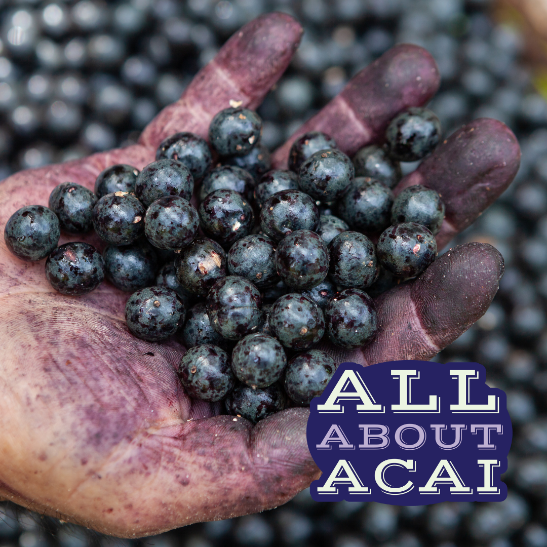 acai pictures of fruit