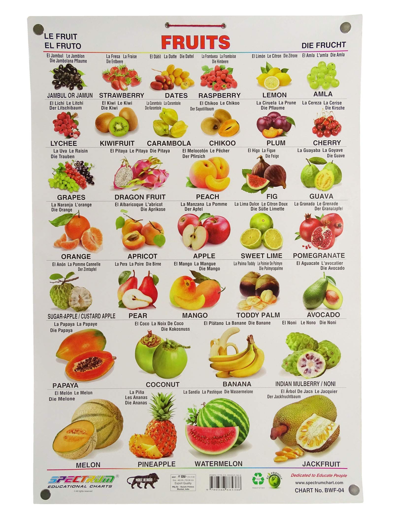 fruit pictures and names