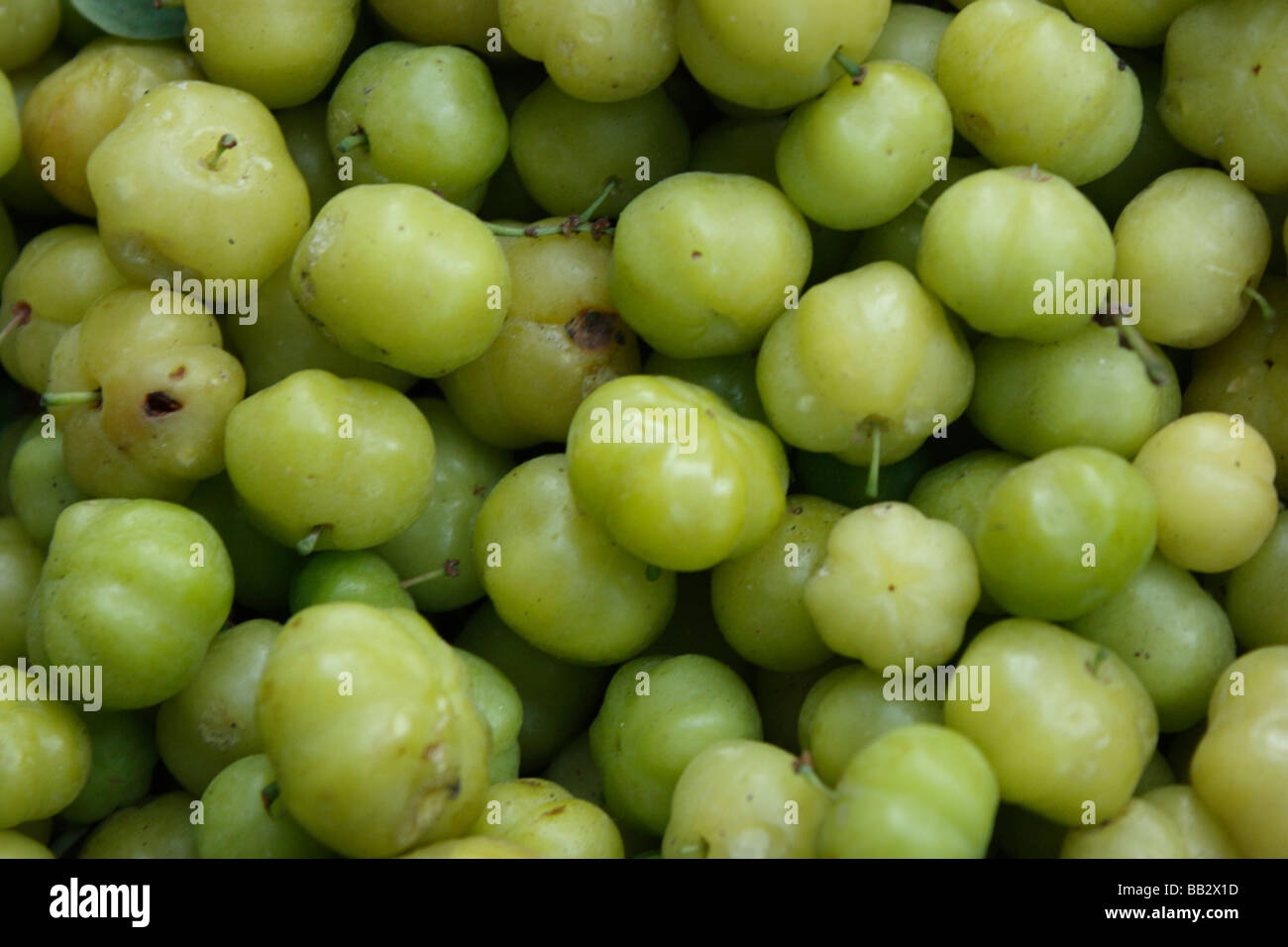 Amla Indian Gooseberry Fruit Used In Cooking And Ayurvedic Preparations Stock Photo Alamy