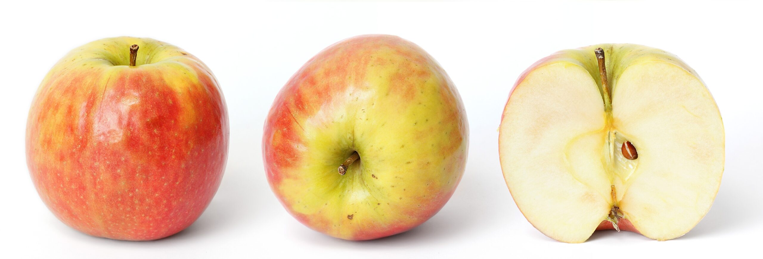apple fruit pictures