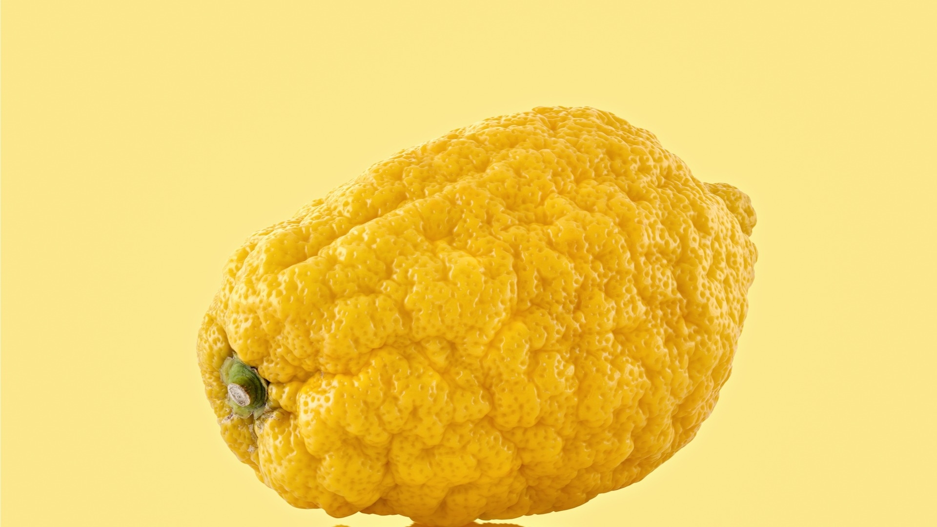 ARCHAEOLOGY OF FRUITS U0026 VEGETABLES Citron