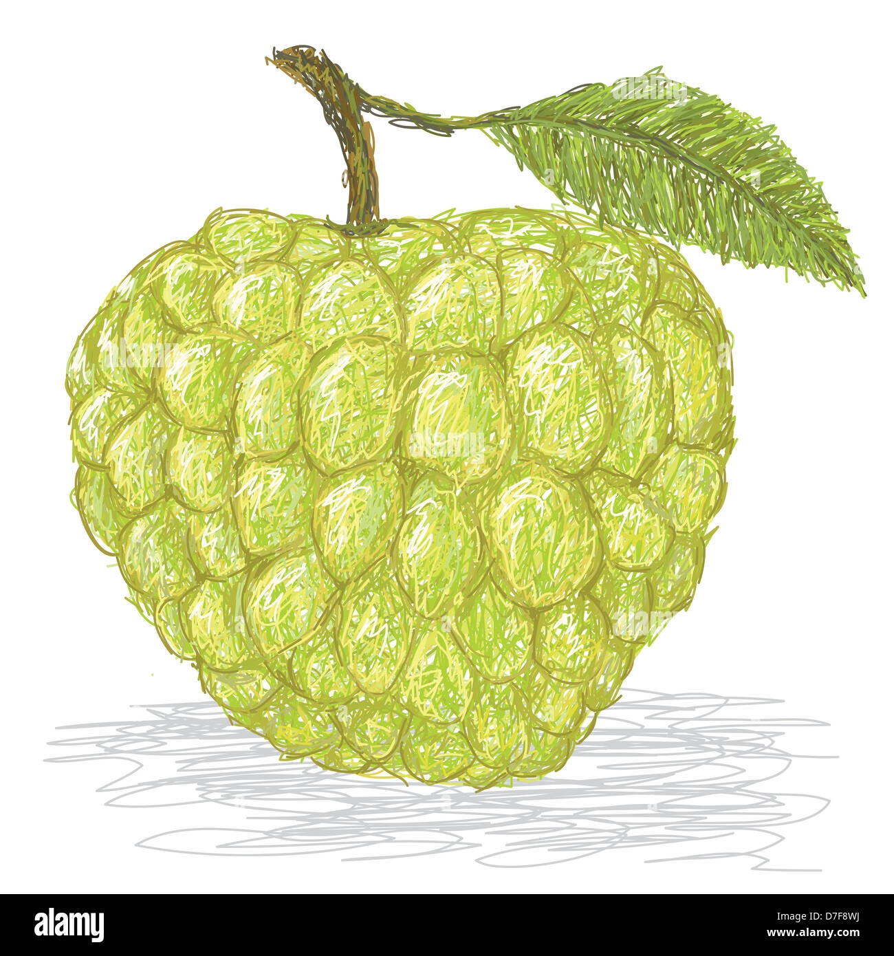 atis fruit picture